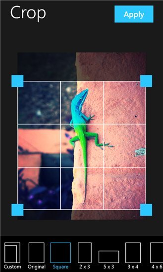 Photo Editor by Aviary