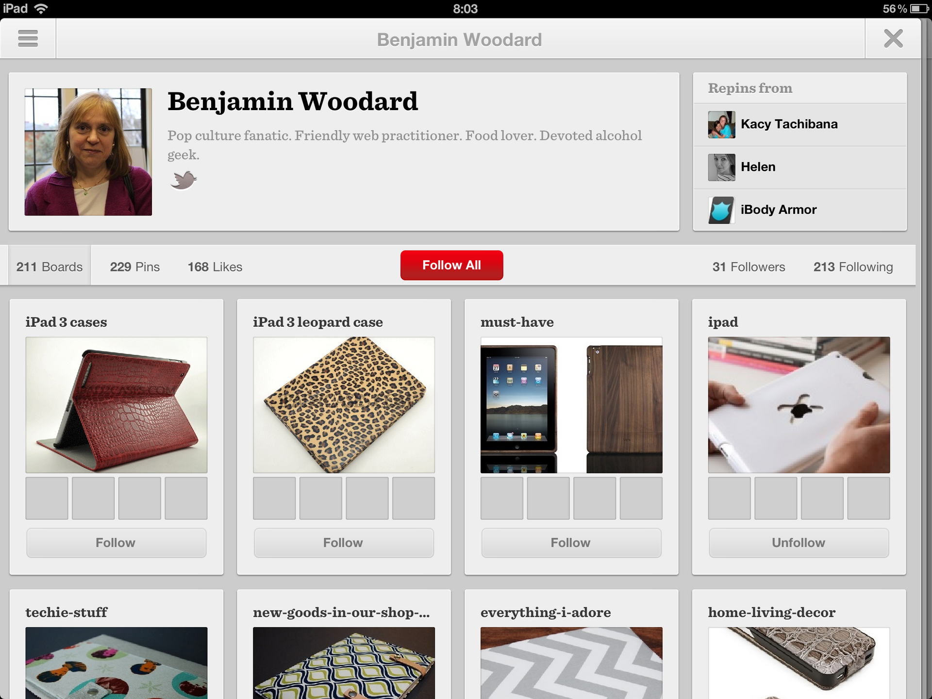 Pinterest pro iPad