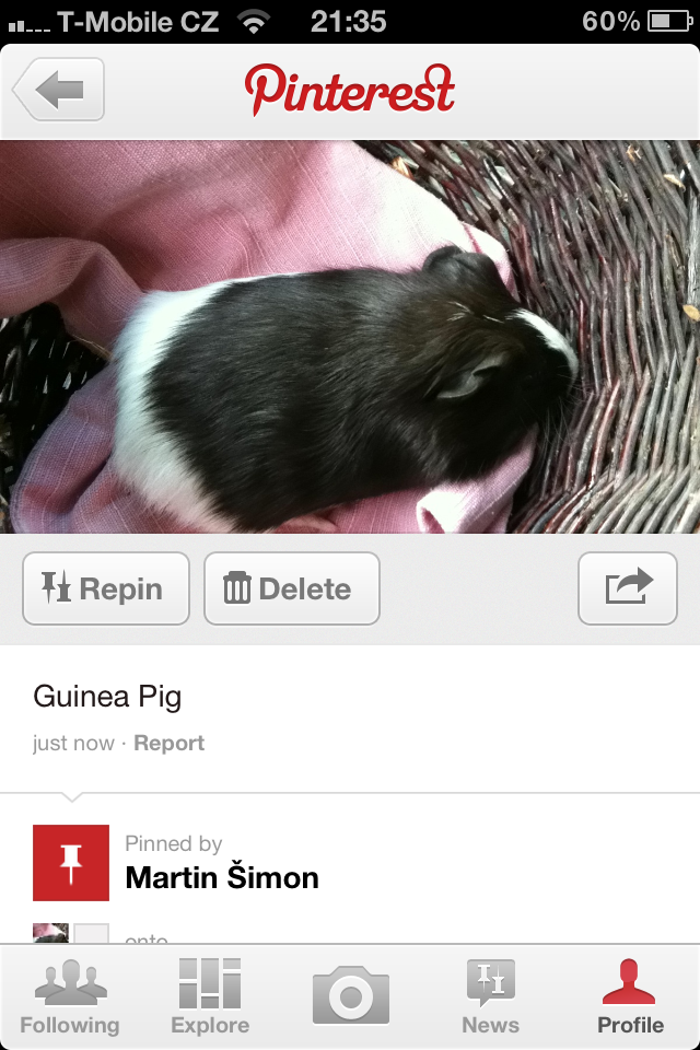 Pinterest pro iPhone