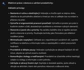 Práce z domova podle Gemini