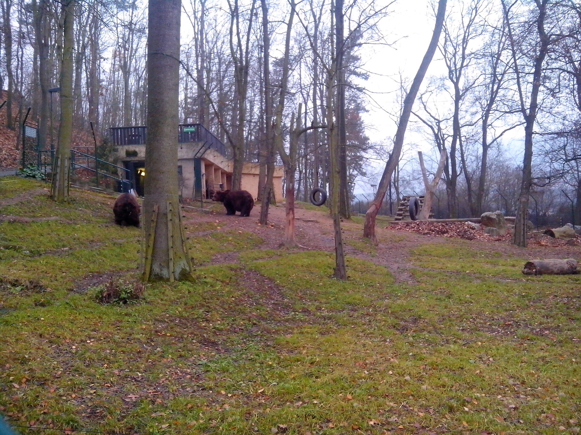 Prestigio MultiPhone 4300 DUO