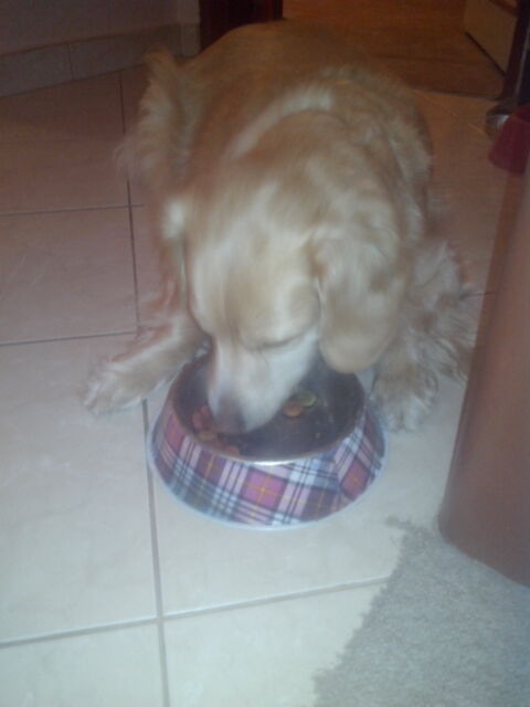 Prestigio MultiPhone 4500 DUO