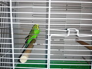 Prestigio MultiPhone 5508 DUO