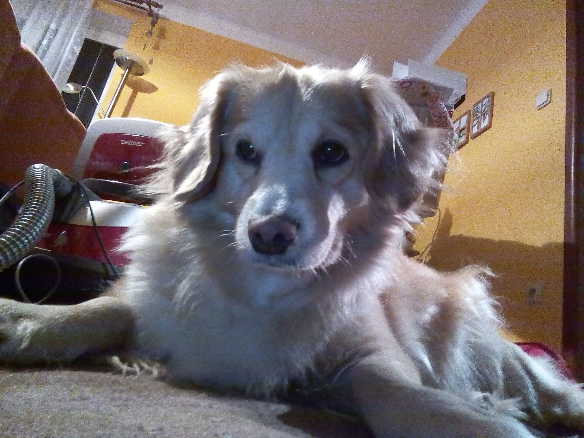 Prestigio MultiPhone 5508 DUO