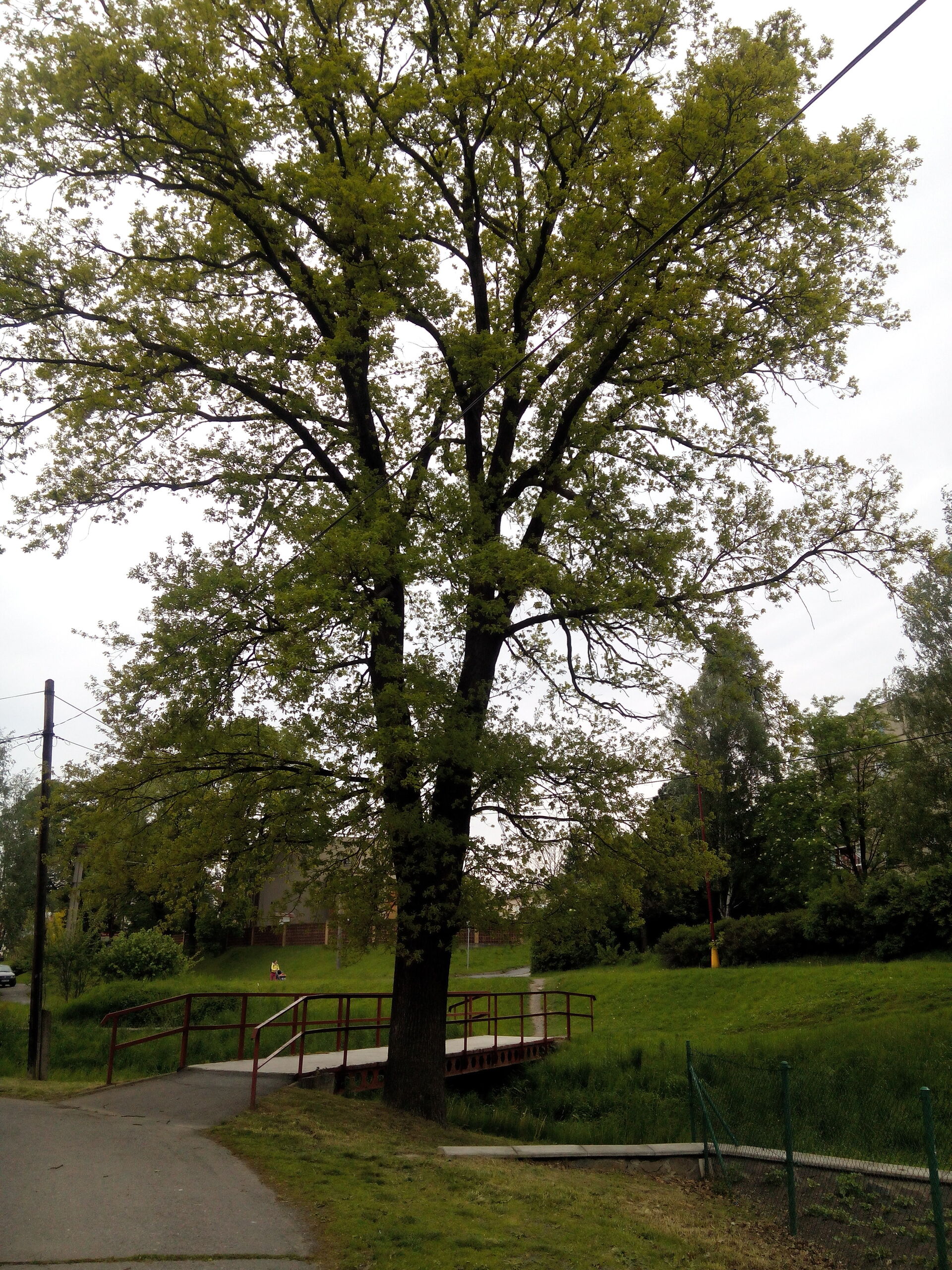 Prestigio MultiPhone 7600 DUO