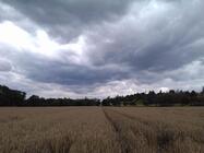 Prestigio MultiPhone 8500 DUO