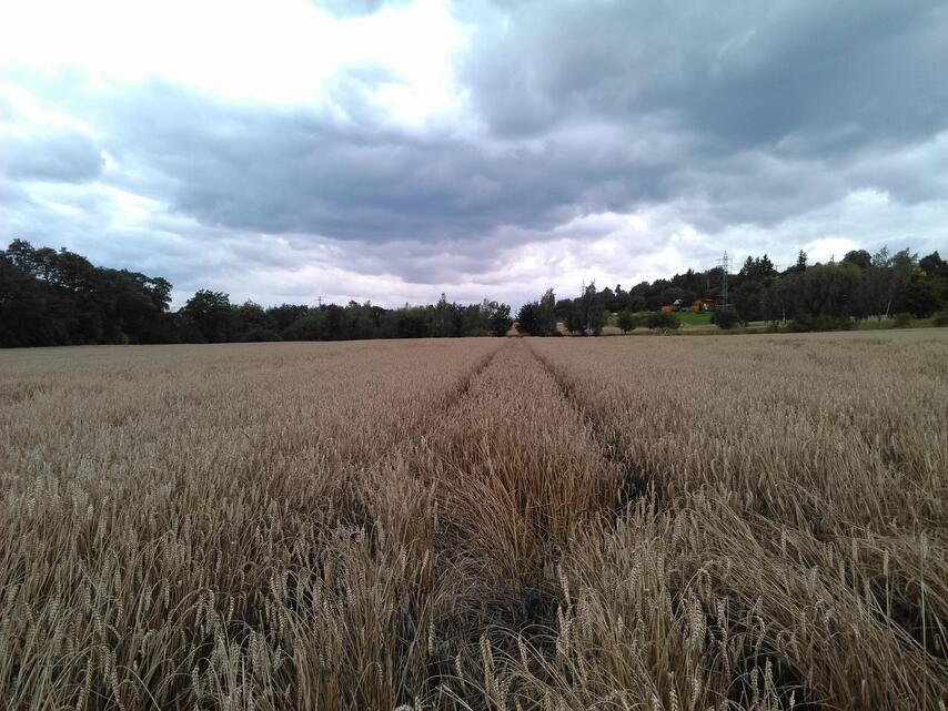 Prestigio MultiPhone 8500 DUO