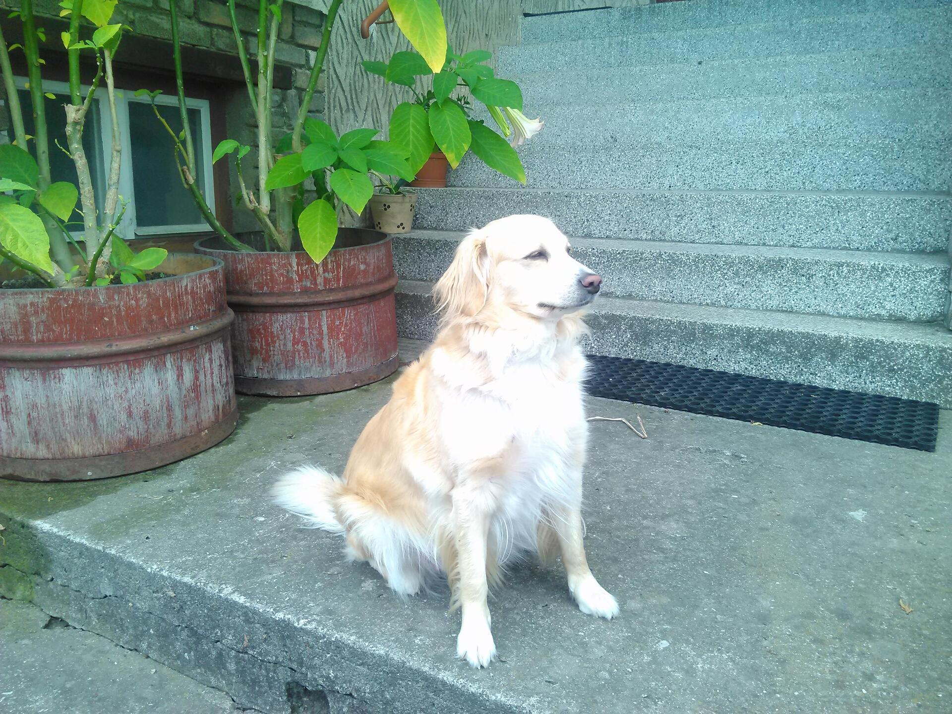 Prestigio MultiPhone 8500 DUO