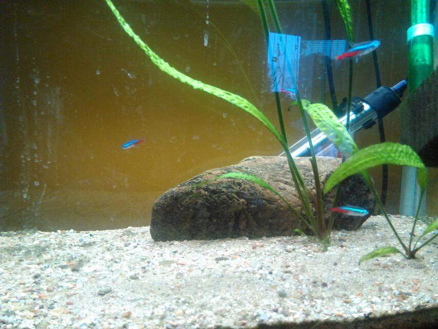 Prestigio MultiPhone 8500 DUO