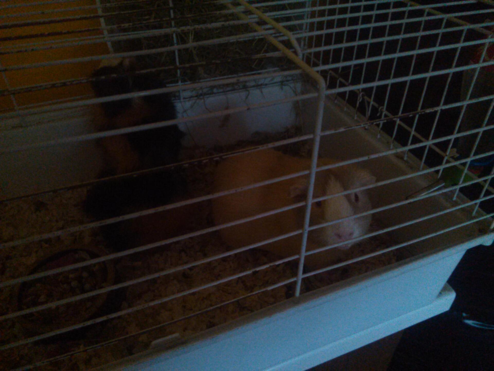 Prestigio MultiPhone 8500 DUO