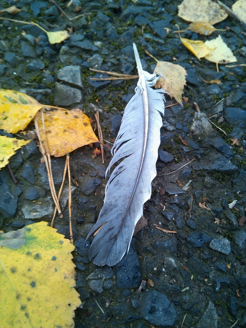 Prestigio MultiPhone PAP5300 DUO