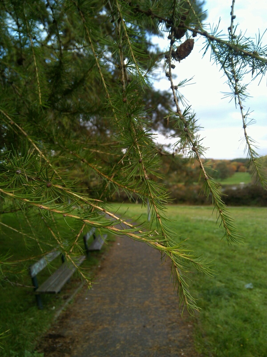 Prestigio MultiPhone PAP5300 DUO