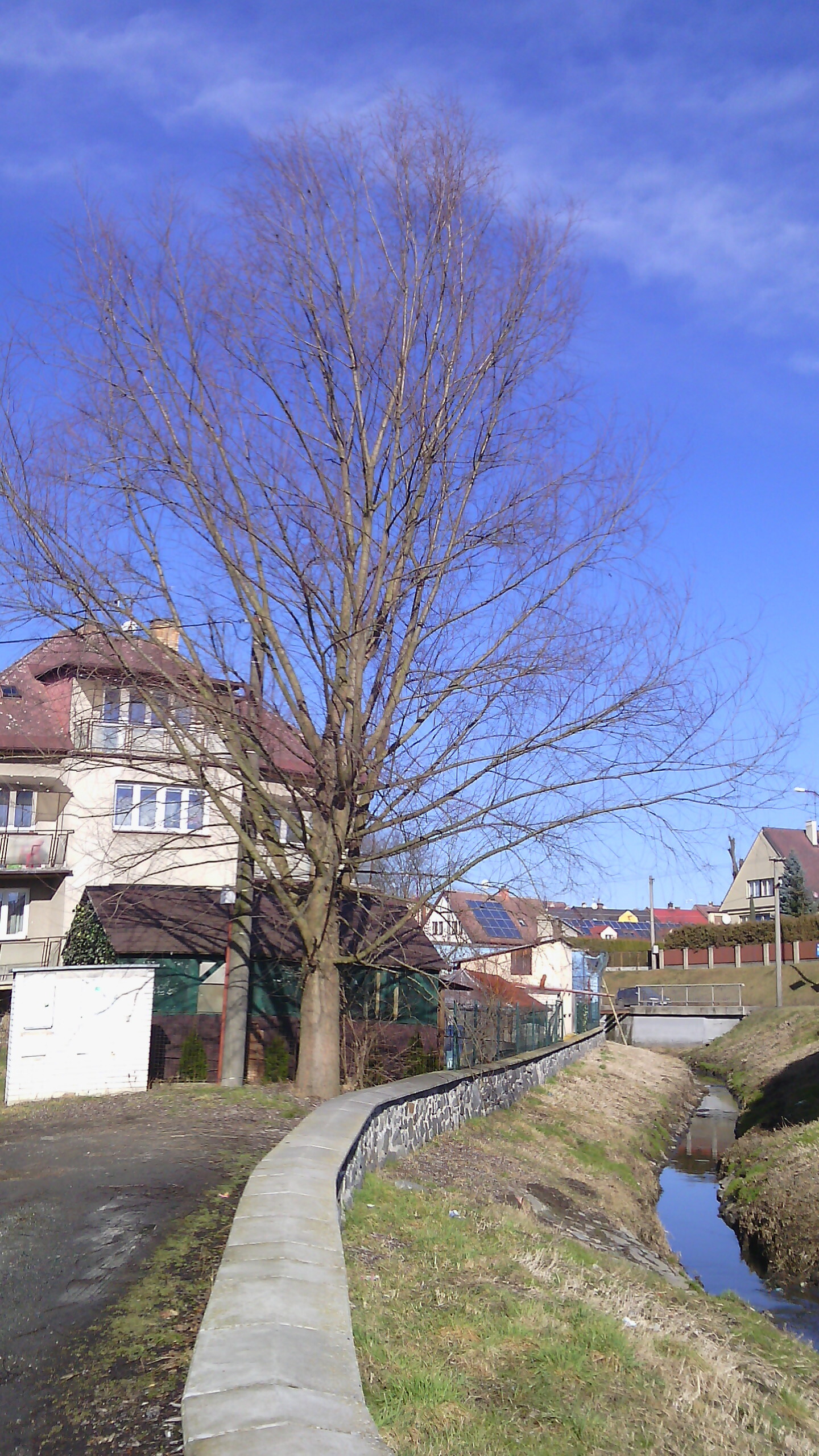 Prestigio MultiPhone PAP5500 DUO