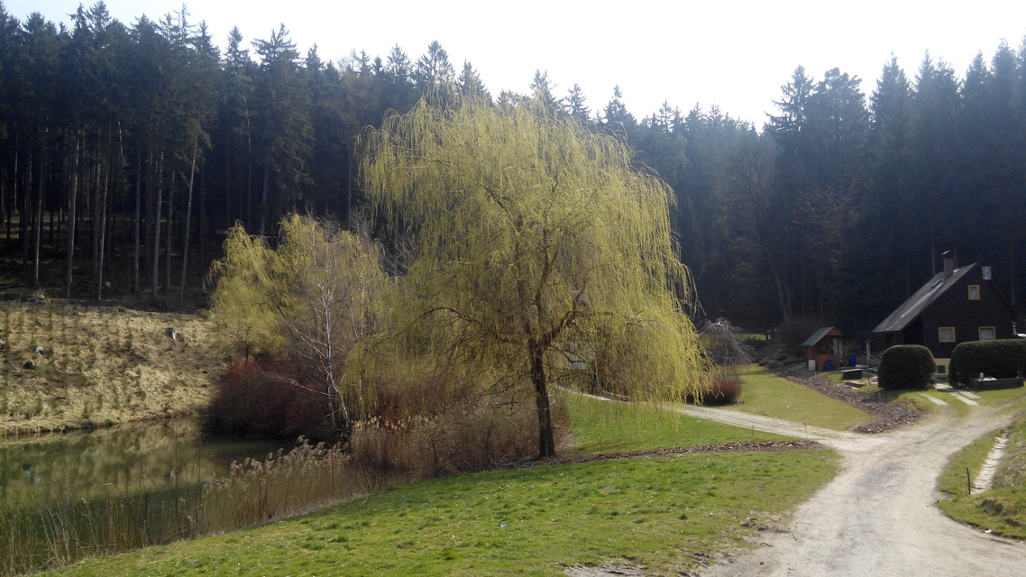 Prestigio MultiPhone PAP7500