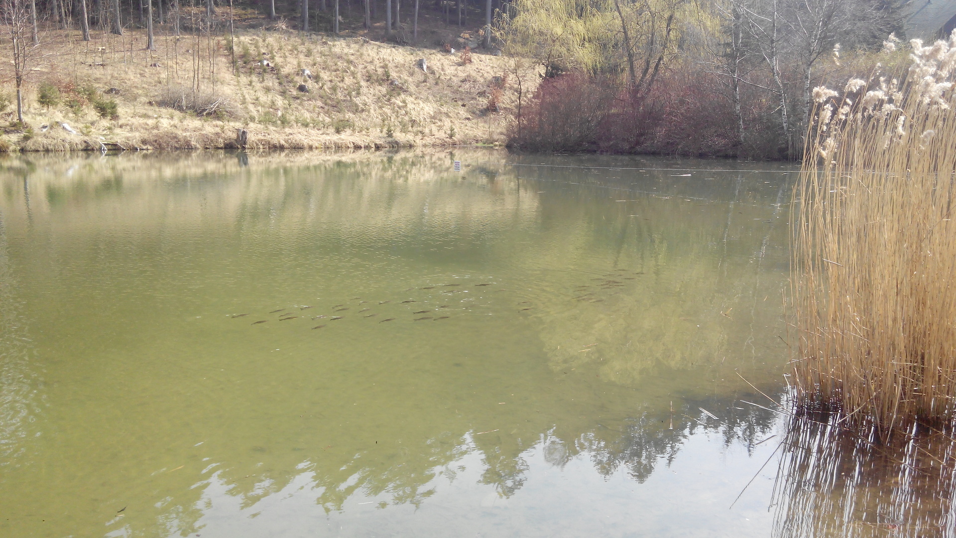 Prestigio MultiPhone PAP7500