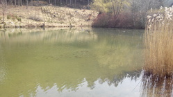 Prestigio MultiPhone PAP7500