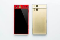 Project Ara