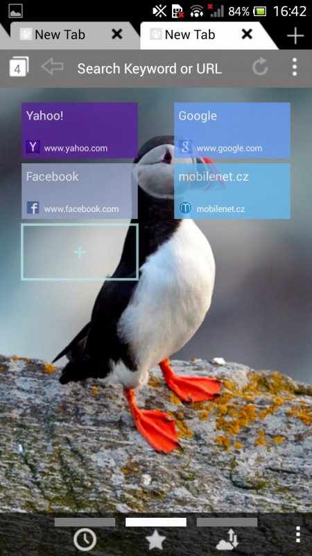 Puffin Web Browser