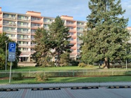 Realme GT Master Edition