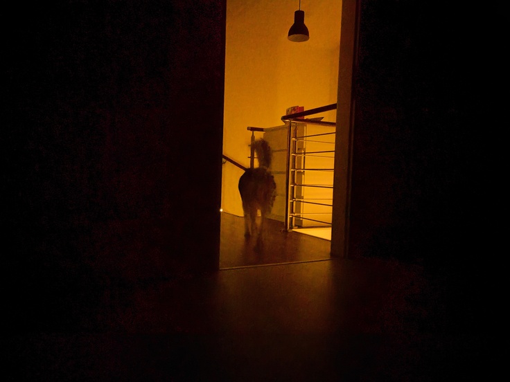 Realme GT Master Edition