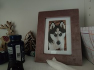 Realme GT Master Edition Explorer