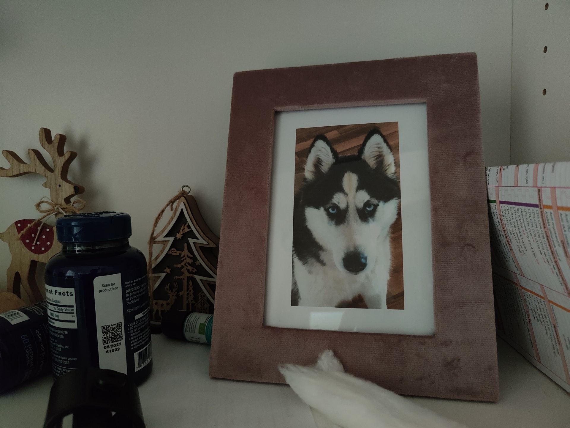 Realme GT Master Edition Explorer