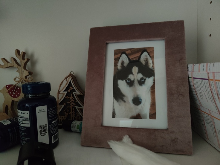 Realme GT Master Edition Explorer