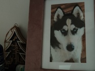 Realme GT Master Edition Explorer