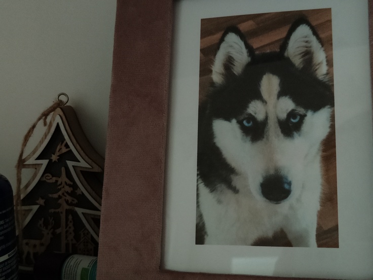 Realme GT Master Edition Explorer