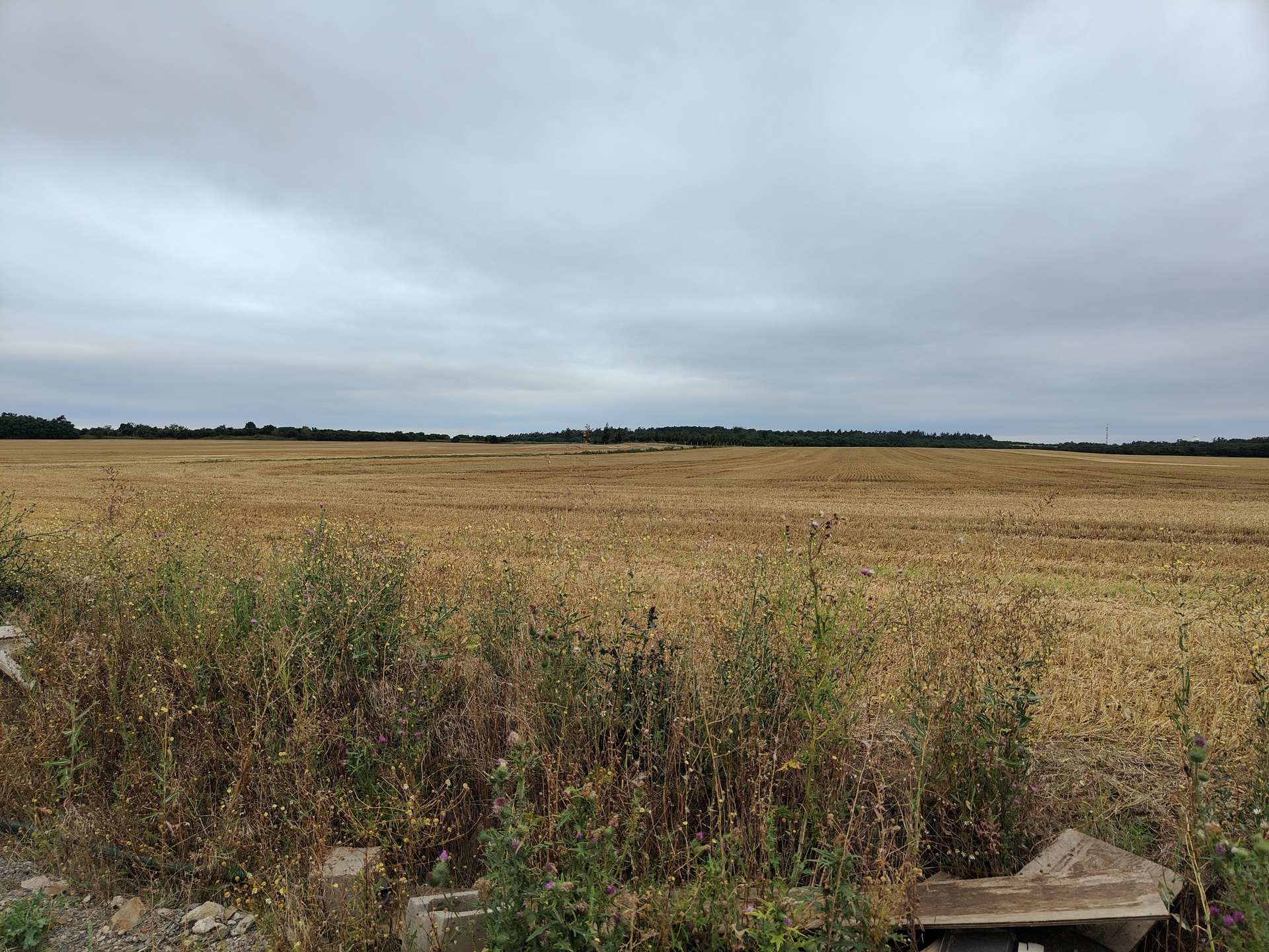 Realme GT Master Edition Explorer