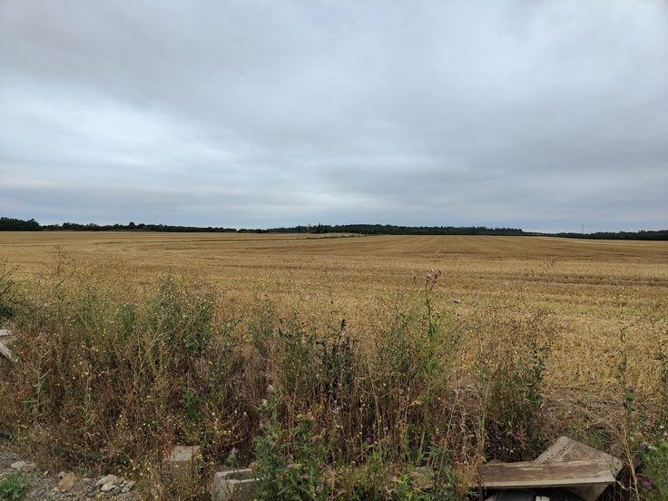 Realme GT Master Edition Explorer