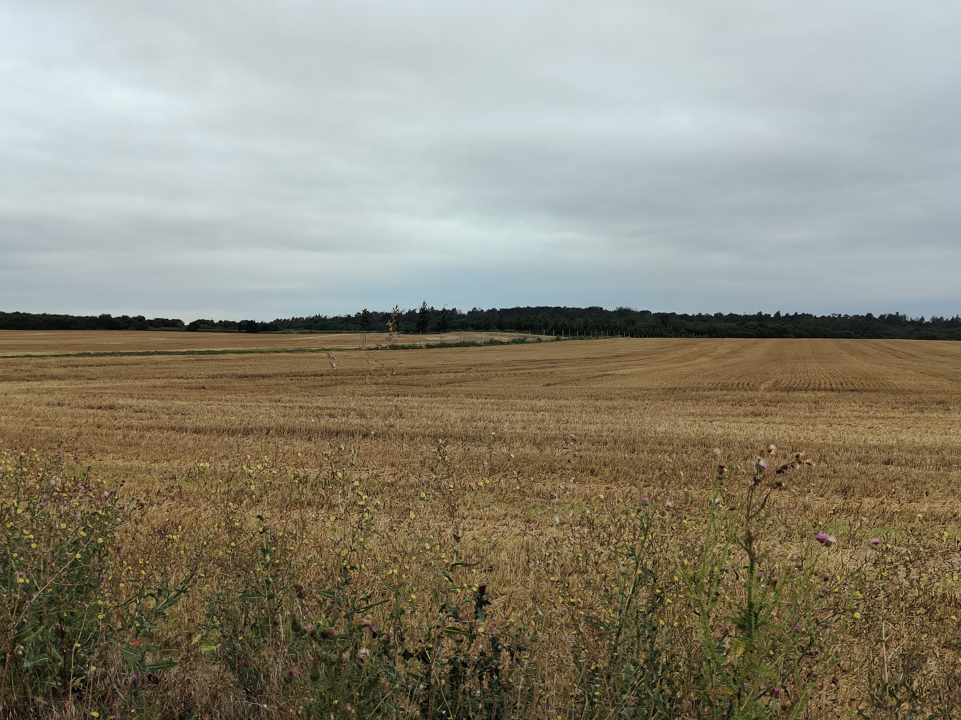 Realme GT Master Edition Explorer