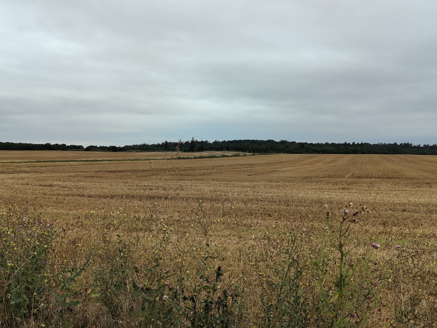 Realme GT Master Edition Explorer