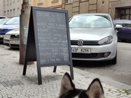 Realme GT Master Edition Explorer