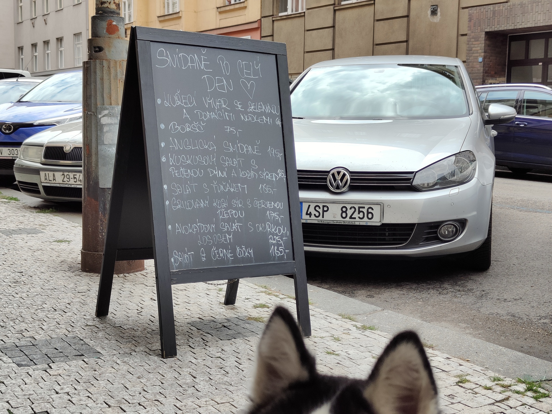 Realme GT Master Edition Explorer