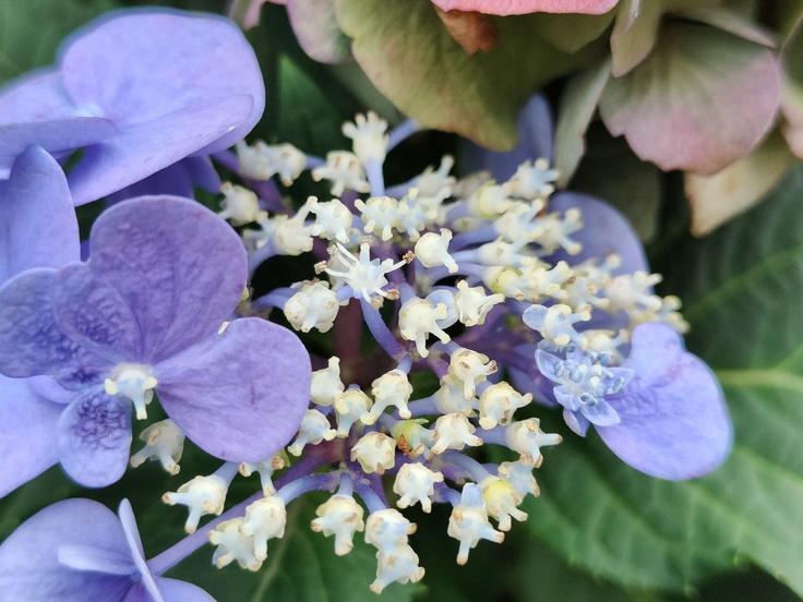 Realme GT Master Edition Explorer