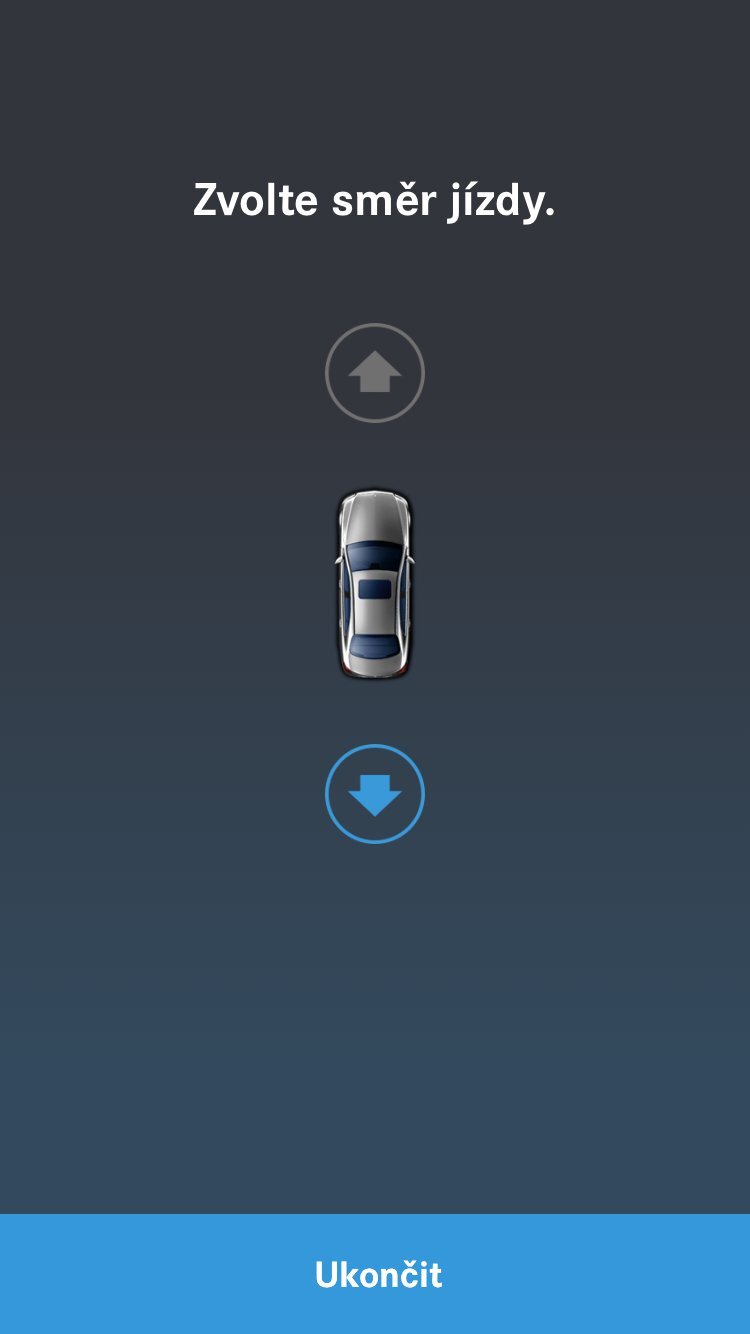 Remote Parking Pilot