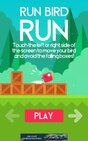 Run Bird Run