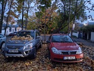 Samsung Galaxy A17 5G