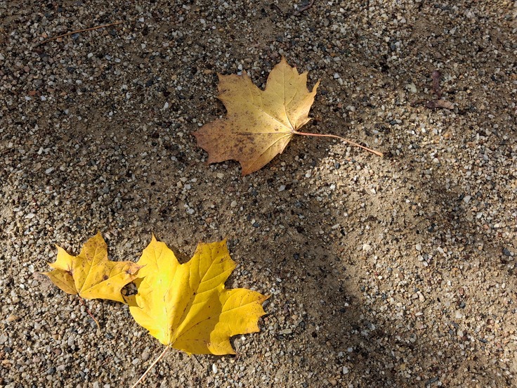 Samsung Galaxy A17 5G