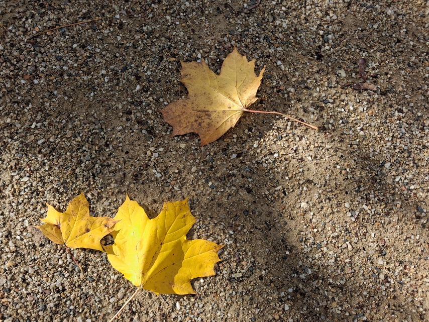 Samsung Galaxy A17 5G