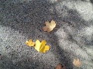 Samsung Galaxy A17 5G