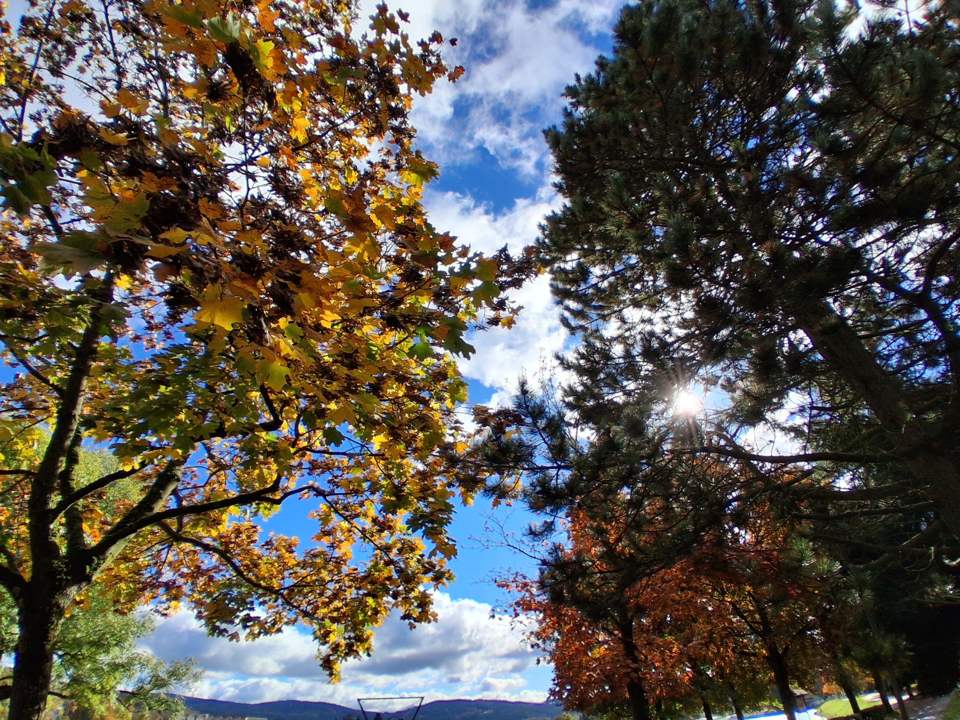 Samsung Galaxy A17 5G