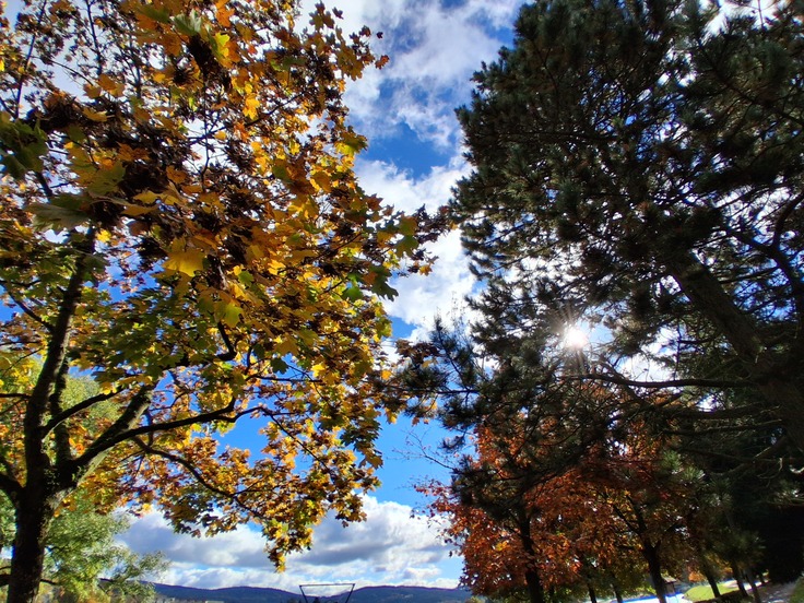 Samsung Galaxy A17 5G