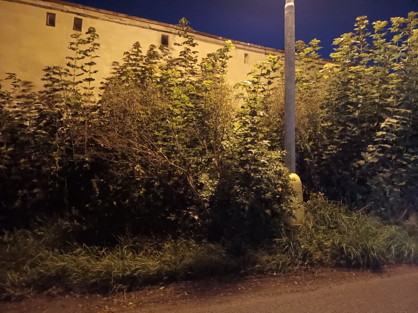 Samsung Galaxy A22 5G