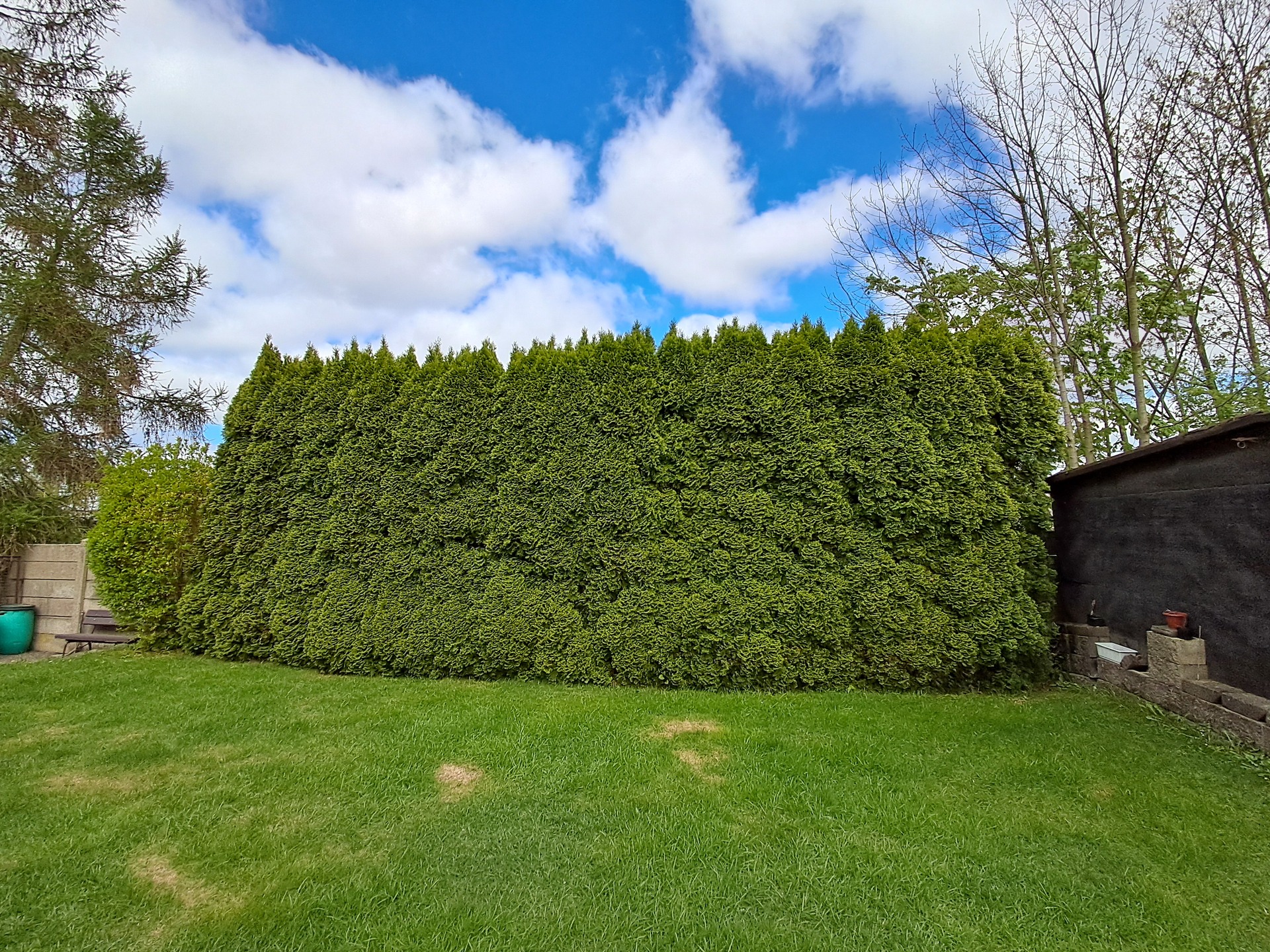 Samsung Galaxy A25 5G