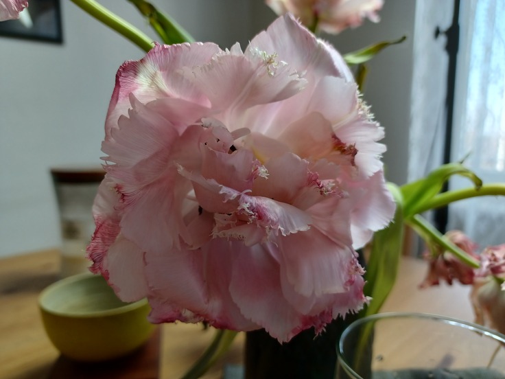 Samsung Galaxy A32 5G