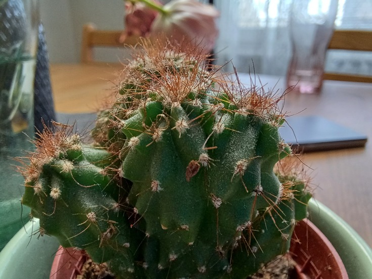 Samsung Galaxy A32 5G