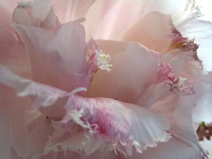 Samsung Galaxy A32 5G