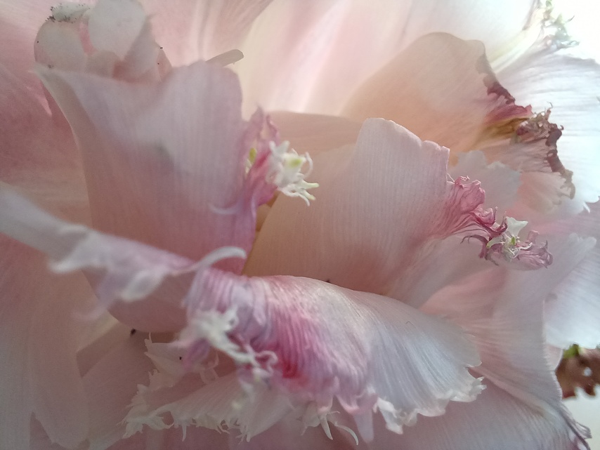 Samsung Galaxy A32 5G